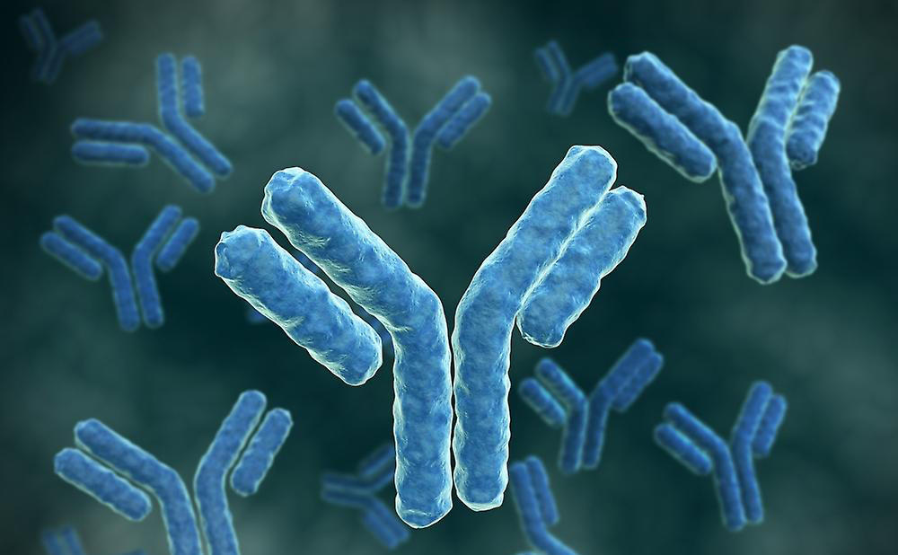 Что такое HBsAg Что такое HBsAg