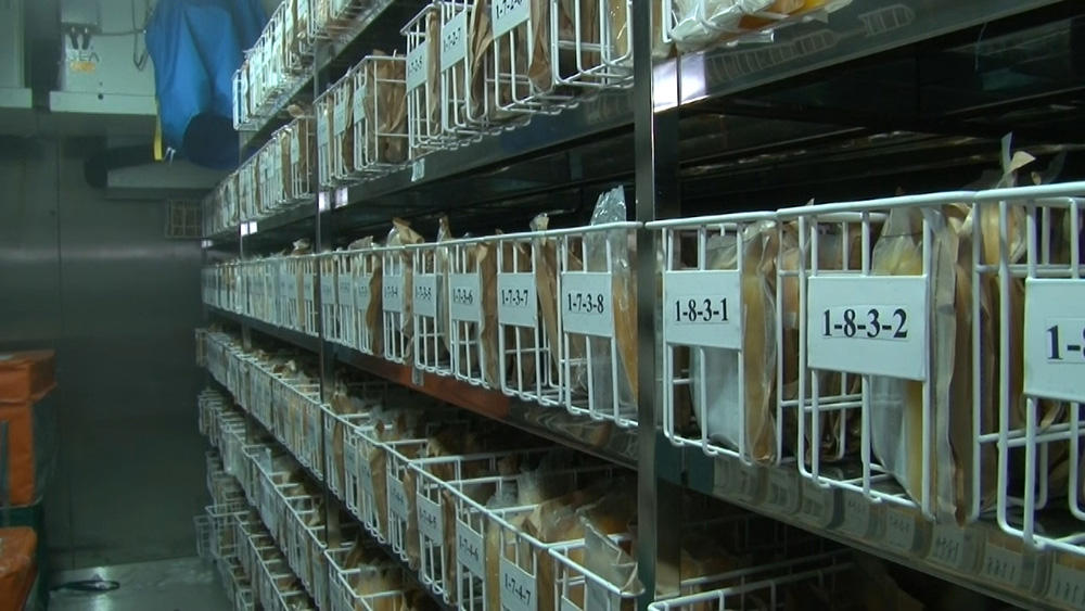 Хранение плазмы крови Хранение плазмы крови