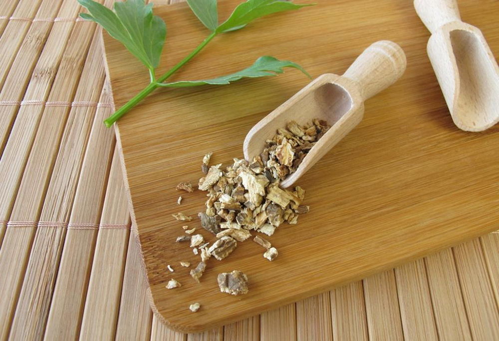 Корень любистока Корень любистока