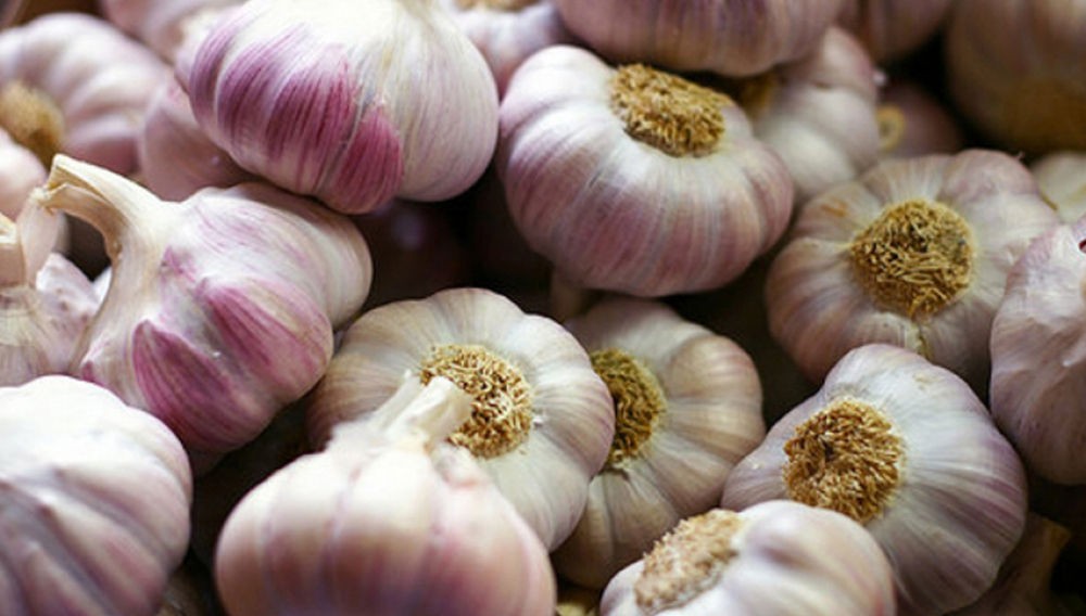 Чеснок Чеснок