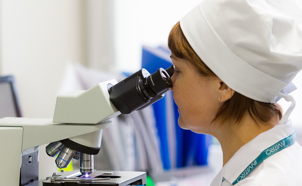 Исследование крови под микроскопом Исследование крови под микроскопом