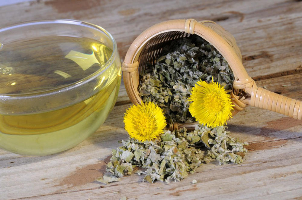 Мать-и-мачеха Мать-и-мачеха