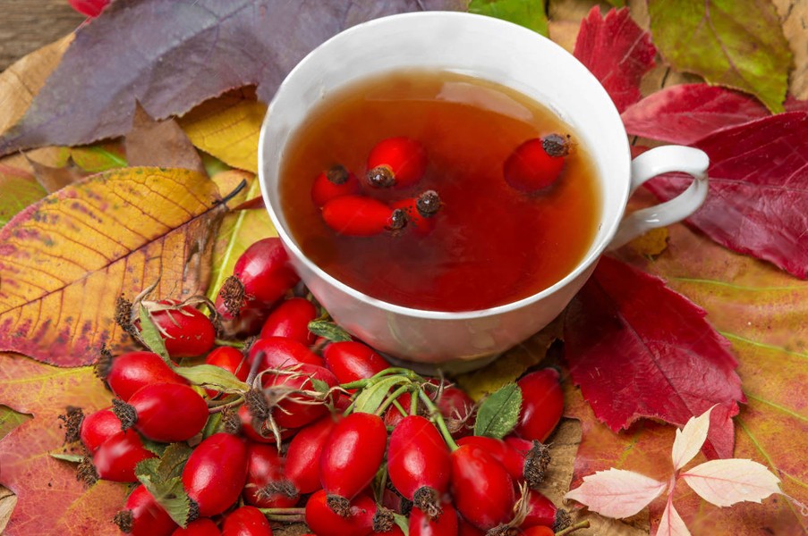 Настойка из шиповника Настойка из шиповника