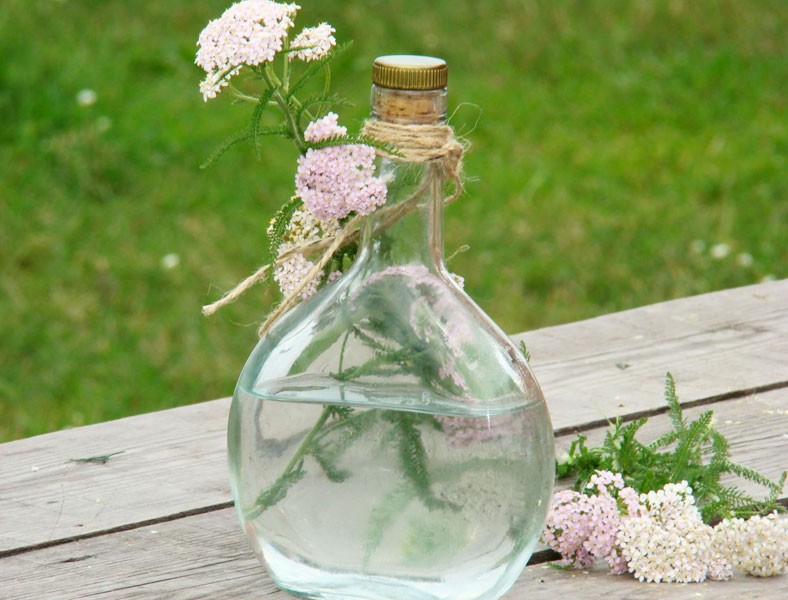 Настойка из тысячелистника Настойка из тысячелистника
