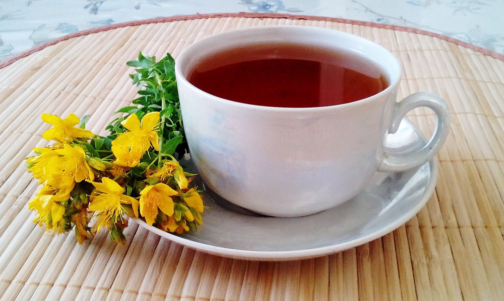 Отвар зверобоя польза Отвар зверобоя польза