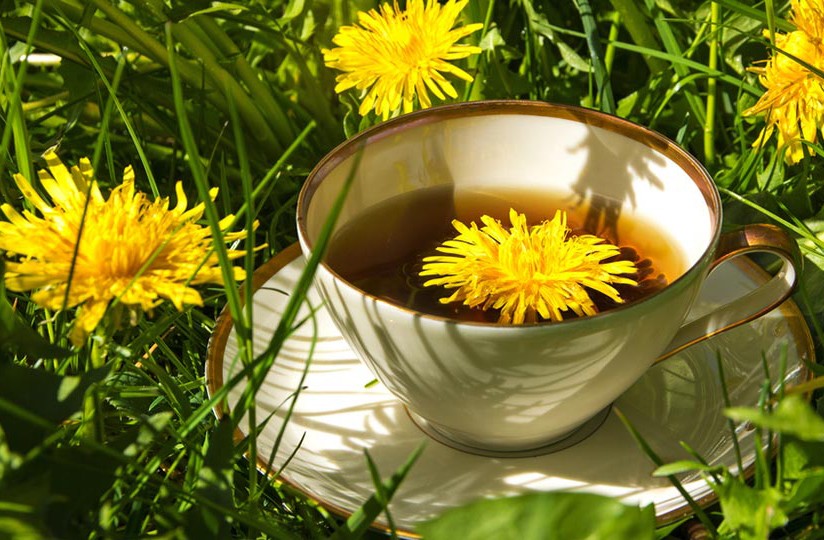 Чай с одуванчиком Чай с одуванчиком