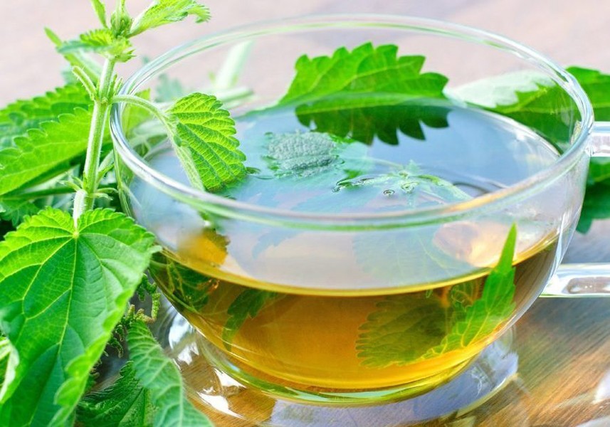 Крапивный чай Крапивный чай