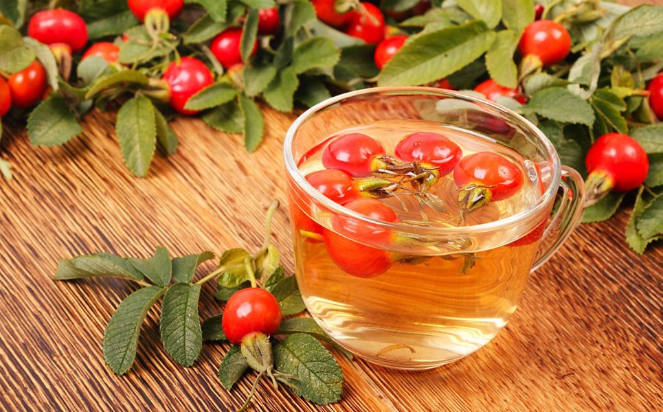 Применение отвара из шиповника Применение отвара из шиповника