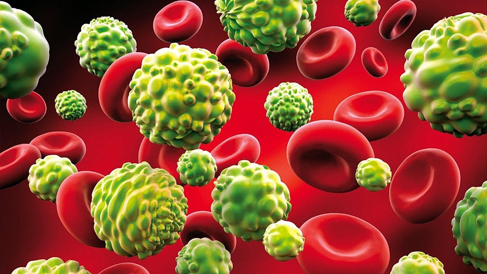 Кровь человека Кровь человека