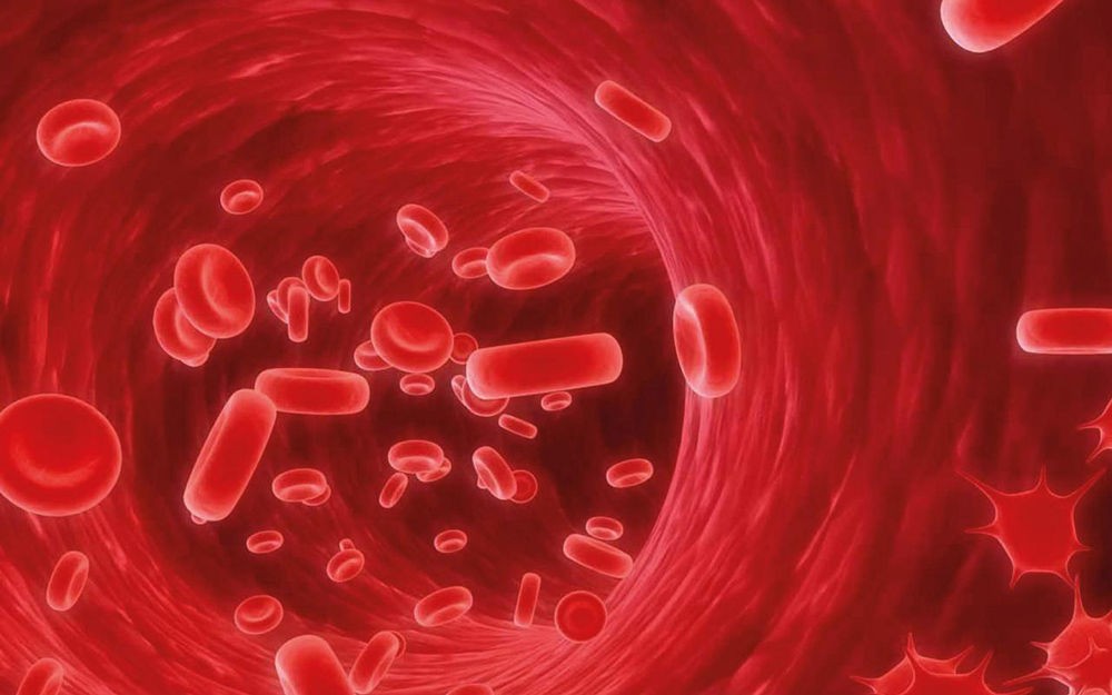 Стимулятор производства новых тромбоцитов Стимулятор производства новых тромбоцитов