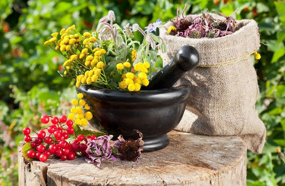 Травяной сбор Травяной сбор